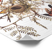 Poster L'Oriole du verger d'Audubon dans le Criquet de mi (Coin)