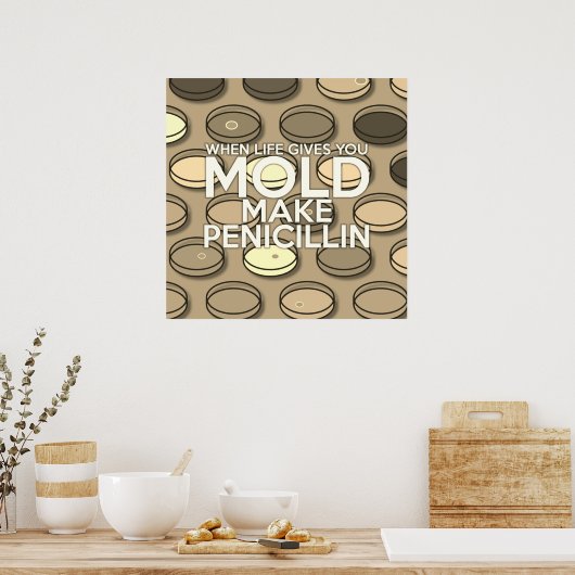 Poster LORSQUE LA VIE VOUS DONNE MOLD FAIRE PENICILLIN Vi (Cuisine)