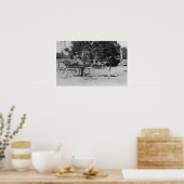 Poster Los Angeles, CA Ostrich Farm Cart Scene (Cuisine)