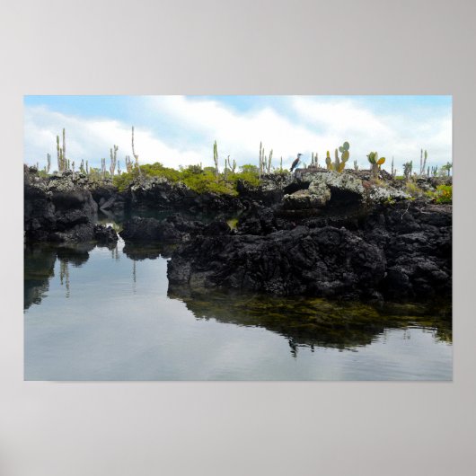 Poster Los Tuneles dans les îles Galapagos (Devant)