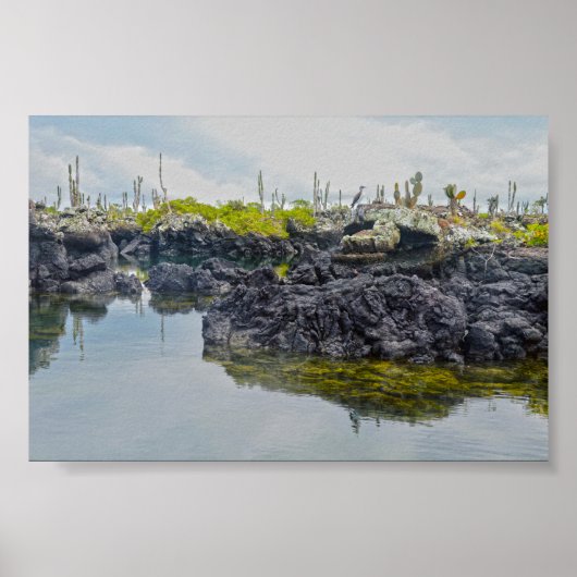 Poster Los Tuneles, îles Galapagos, Équateur (Devant)