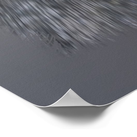 Poster Lost red petals (Coin)