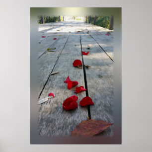 Poster Lost red petals