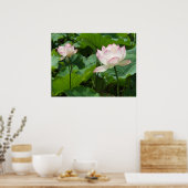 Poster Lotages (Cuisine)