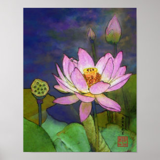Poster lotus