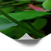Poster Lotus (Coin)