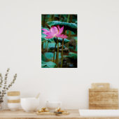 Poster ...lotus (Cuisine)