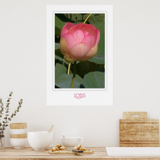 Poster Lotus (Cuisine)