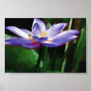Poster lotus