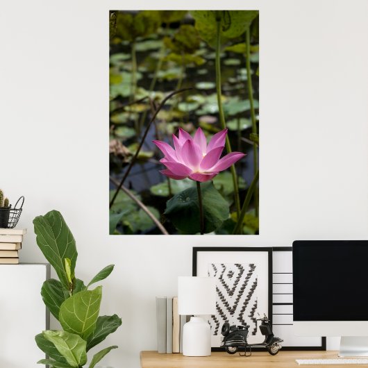 Poster Lotus (Bureau à domicile)