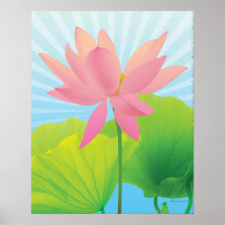 Poster Lotus