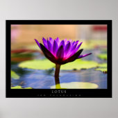 Poster Lotus (Devant)