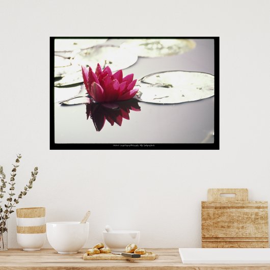 Poster lotus (Cuisine)