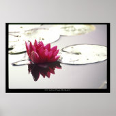 Poster lotus (Devant)