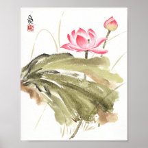 Lotus après la pluie