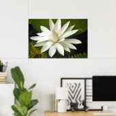 Poster Lotus blanc (Bureau à domicile)