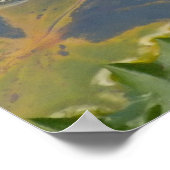 Poster Lotus blanc (Coin)