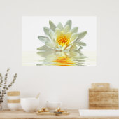 Poster lotus blanc flottant dans l'eau (Cuisine)