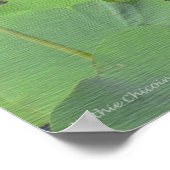 Poster Lotus dans le jardin (Coin)