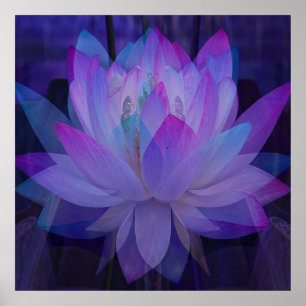 Poster Lotus en bleu...