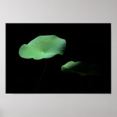 Poster Lotus Feuilles (Devant)