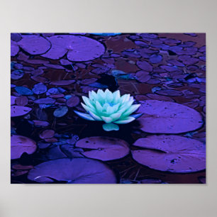 Poster Lotus Fleur violet bleu Turquoise Floral Pond Zen