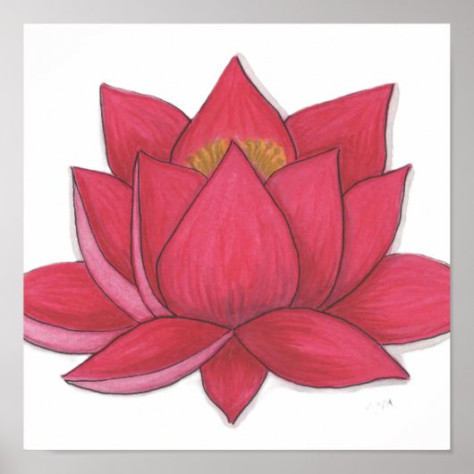 Poster Lotus Flower (Devant)