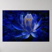 Poster Lotus flower and its meaning (Devant)