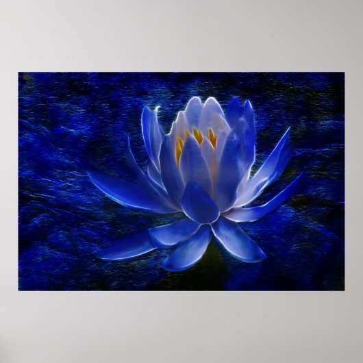 Poster Lotus flower and its meaning (Devant)