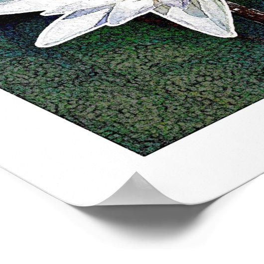 POSTER LOTUS FLOWER ART (Hoek)