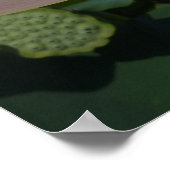 Poster Lotus Flower et Blue Sky I (Coin)