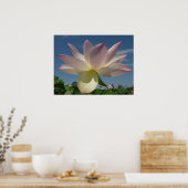 Poster Lotus Flower et Blue Sky II (Cuisine)