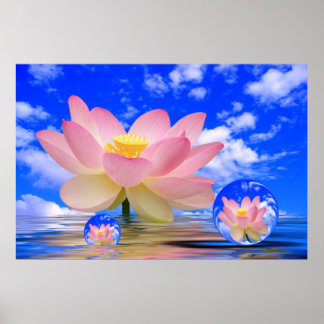Poster Lotus Flower né dans l'eau