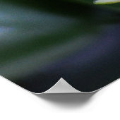 Poster Lotus ou nénuphar et signification (Coin)