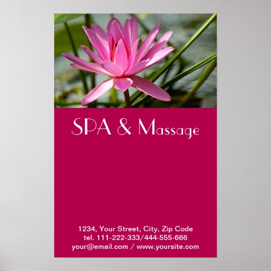 Poster Lotus rose (Devant)