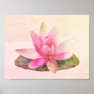 POSTER : LOTUS ROSE