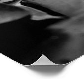 Poster Lotus rose (Coin)