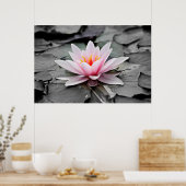 Poster Lotus rose (Cuisine)