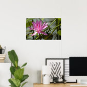 Poster Lotus rose (Bureau à domicile)