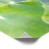 Poster Lotus Summer, vivace aquatique rose pastel (Coin)