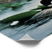 Poster Lou commun sur l'eau (Coin)