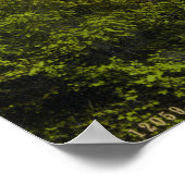 Poster Lough Gill, comté de Sligo (Coin)