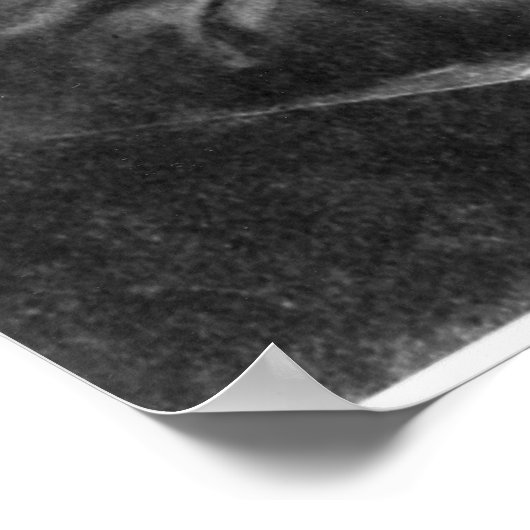 Poster Louis Pasteur (Coin)