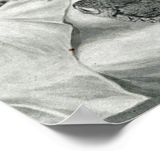 Poster Louis Wain Cat Nightmare (Coin)