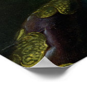 Poster Louis XVI 1786 (Coin)