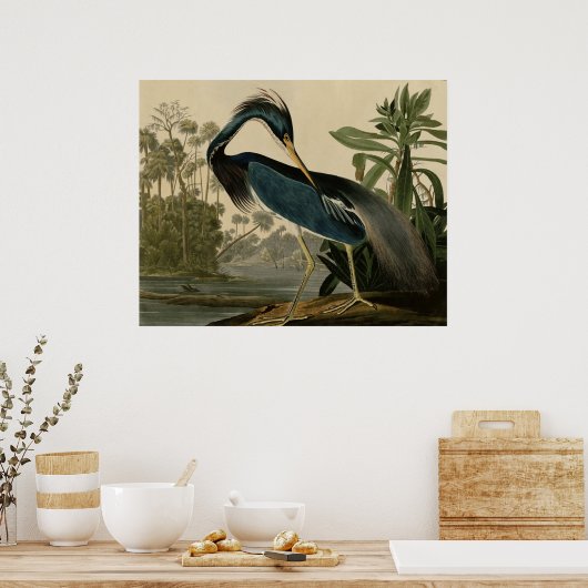 Poster Louisiana Heron (Cuisine)