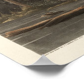 Poster Louisiana Heron d'Oiseaux d'Amérique (Coin)