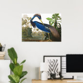 Poster Louisiana Heron par John James Audubon (Bureau à domicile)