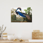 Poster Louisiana Heron par John James Audubon (Cuisine)