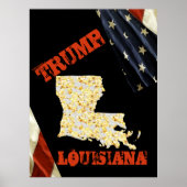 POSTER LOUISIANE  (Devant)